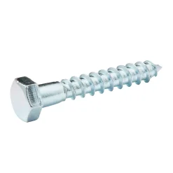 Diall Tirefonds DIN 571 zingués 8x50 mm - 10 pièces