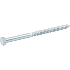 Diall Tirefonds zingués 12x200 mm - 5 pièces