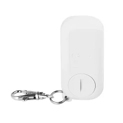 Commande De L'Éclairage-Télécommande 2 canaux Smartwares blanc