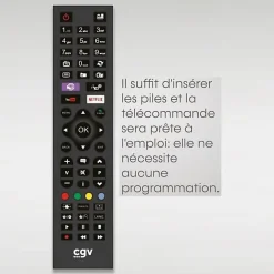 Cgv Décodeur Tnt, Télécommande Et Transmetteur-Télécommande Fidelio Hisense 55 boutons Noire infrarouge prête à l'emploi