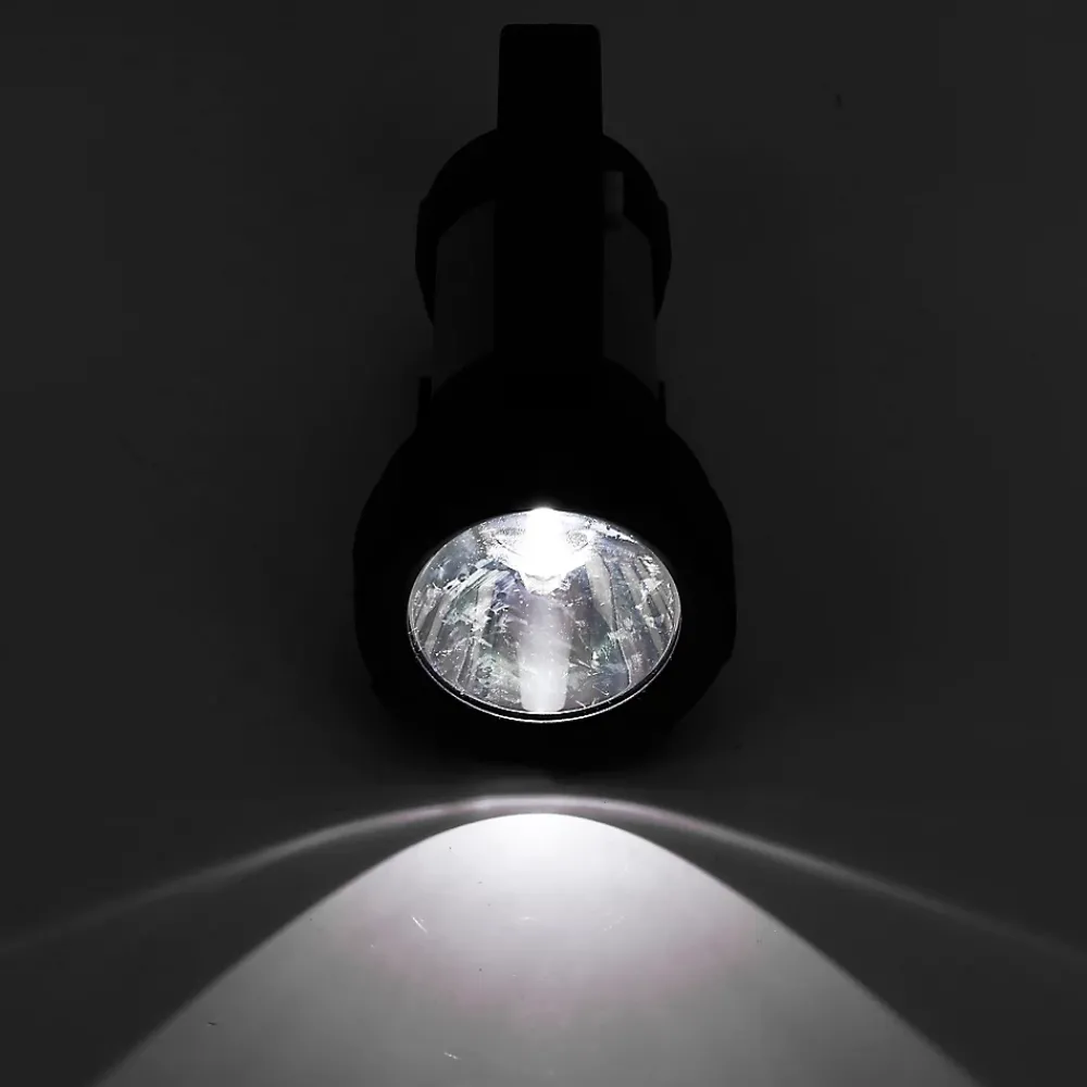 Diall Lampe Torche-Torche rechargeable 300 lumens