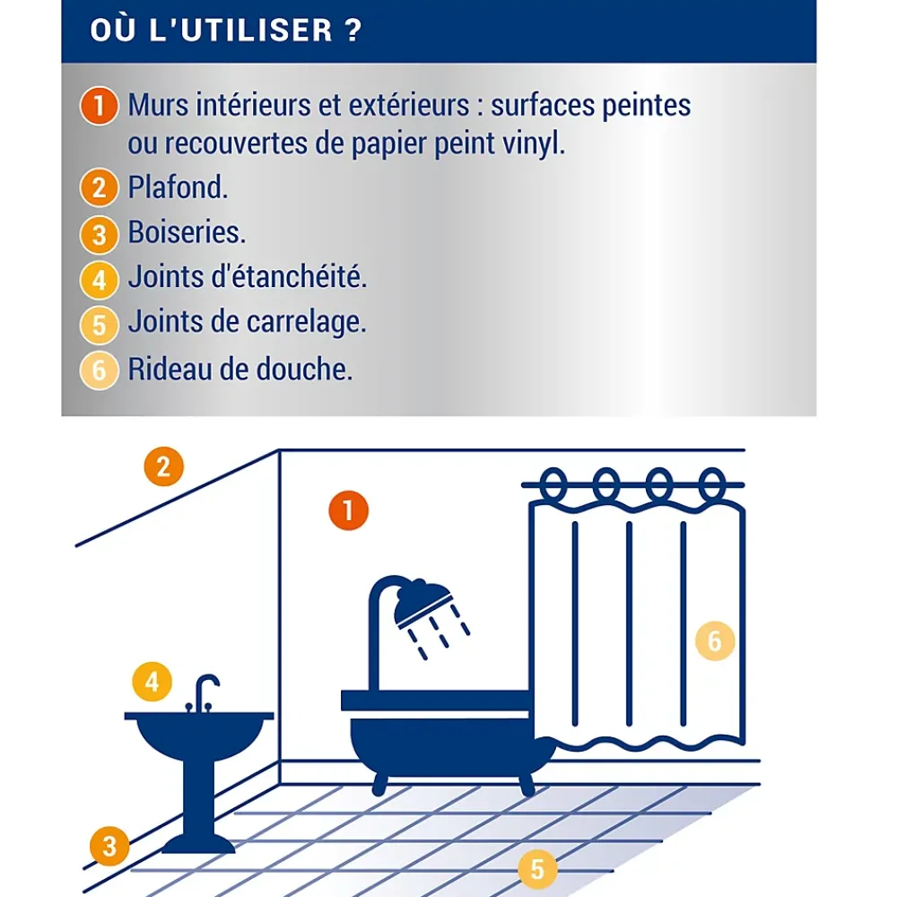 Ripolin Traitement anti-moisissures intérieur extérieur L