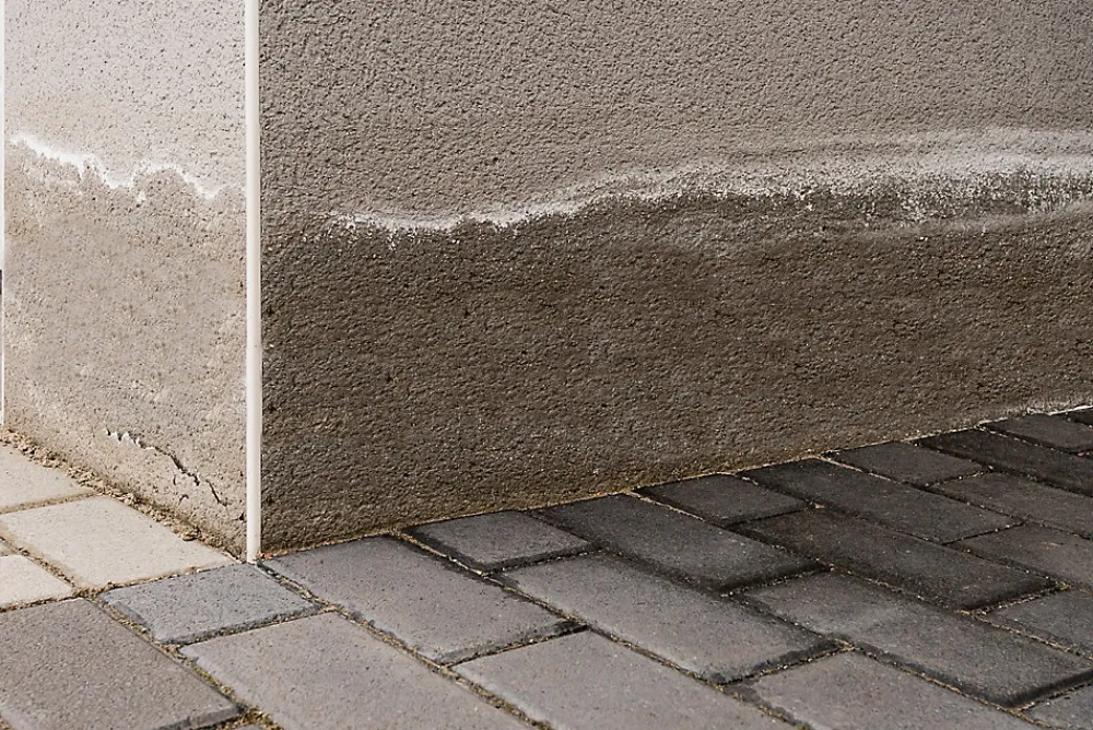 Ripolin Etanchéité Du Mur Intérieur-Traitement murs humides et salpêtre intérieur extérieur incolore 2,5L