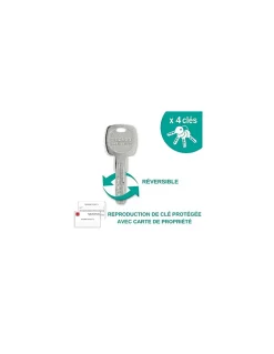 Thirard Verrou De Porte-Verrou double entrée Transit 2 pour porte d'entrée, cylindre 45mm, 4 clés, époxy or -