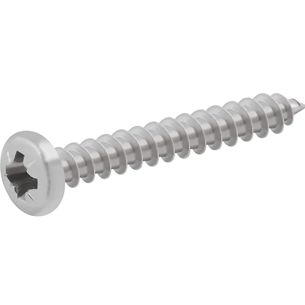 Diall Vis à bois cylindrique en acier inoxydable A4 pozidriv 4x30 mm - 20 pièces