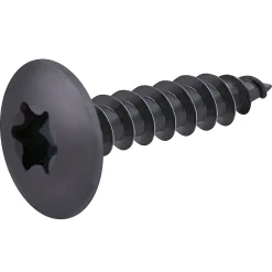 Diall Vis de charnière zinguée noire 6x30 mm - 20 pièces