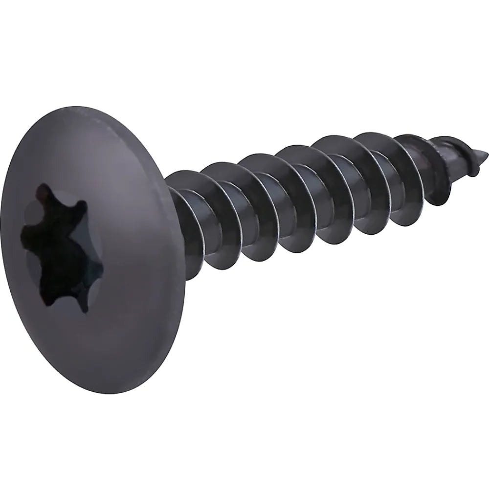 Diall Vis de charnière zinguée noire 6x30 mm - 20 pièces