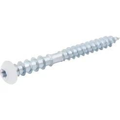 Diall Vis de châssis PVC zinguée avec tête peinte en blanc, 6x60 mm - 6 pièces