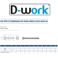 D-Work 10 Vis Métaux Tête Cylindrique 6 Pans Creux CHC 20 x 120 mm - DIN 912 - Inox A4 -