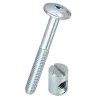 Diall Vis tête bombée + plot en acier zingué, Ø.6 x L. 50 mm vendue par 4 pièces