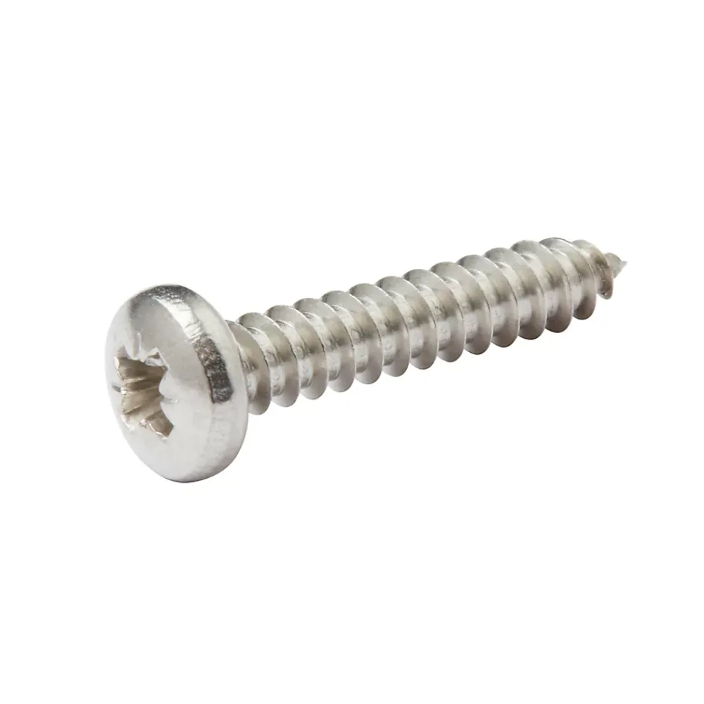 Diall Vis zinguée autoperceuses à tête cylindrique acier inoxydable A2, 4,8x25 mm - 25 pièces