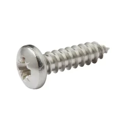 Diall Vis zinguée autoperceuses à tête cylindrique acier inoxydable A2, 4,2x16 mm - 25 pièces