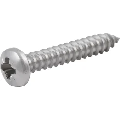Diall Vis zinguée autoperceuses à tête cylindrique acier inoxydable A2, 4,2x25 mm - 25 pièces